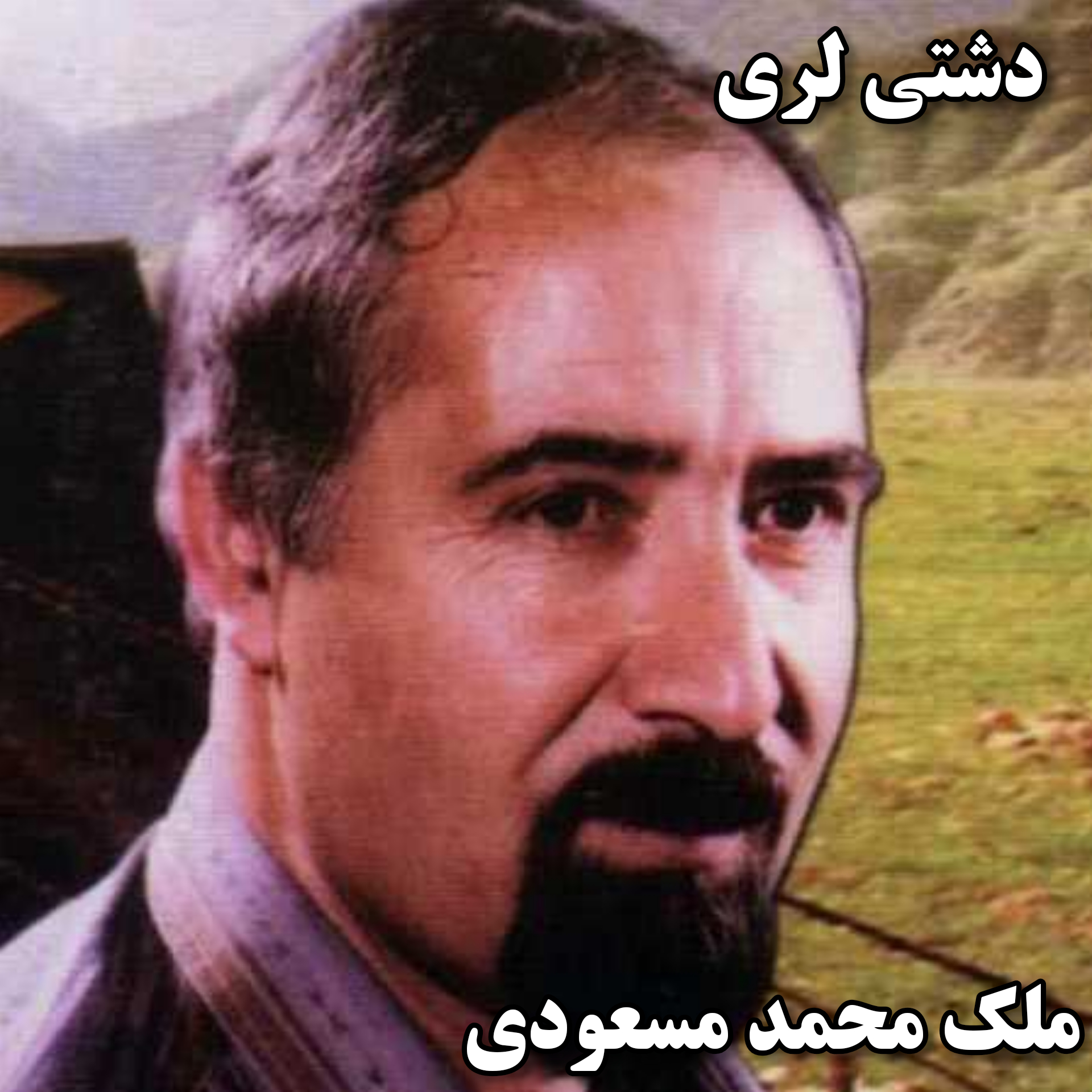 دانلود آهنگ دشتی لری غریبی از ملک محمد مسعودی
