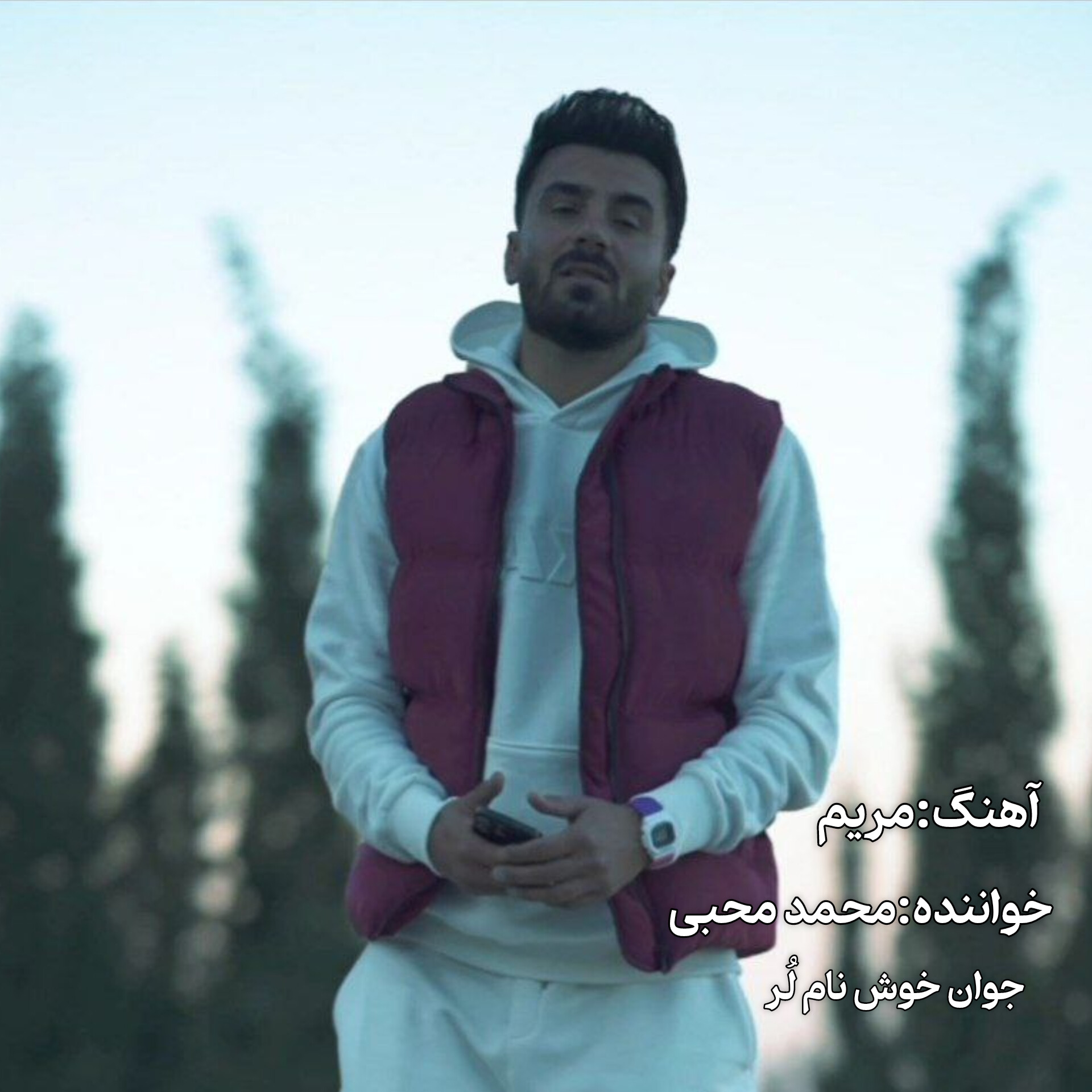 انلود آهنگ لری مریم از محمد محبی