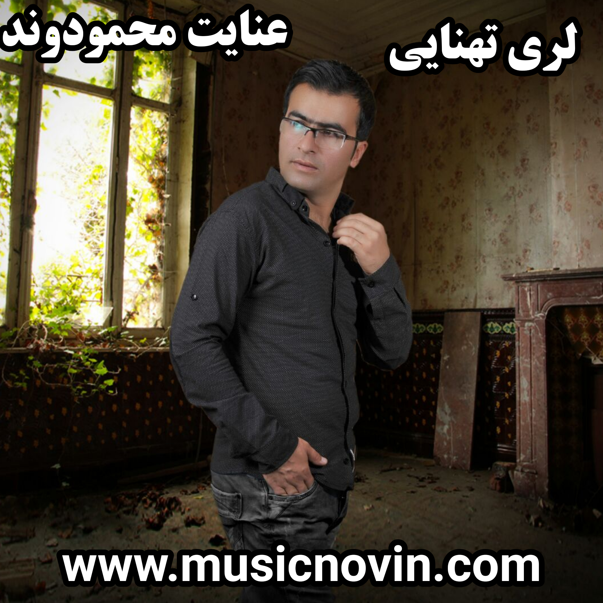 دانلود آهنگ لری تنهایی از عنایت محمودوند